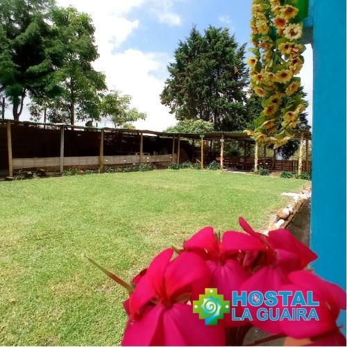 Hostal La Guaira