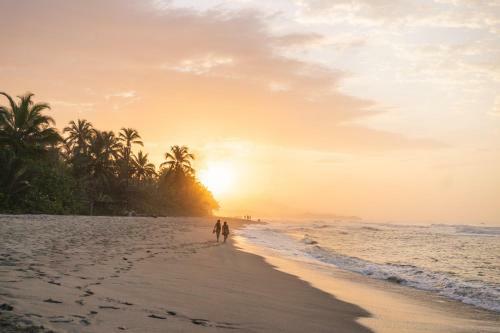 Hotel Cayena Beach Villa