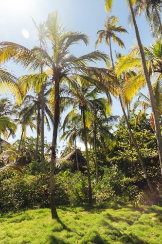 Hotel Cayena Beach Villa