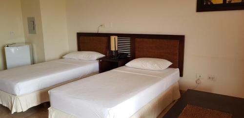 Hotel Pe�on Suites