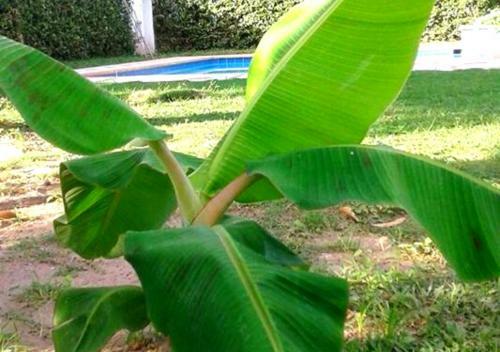 Casa Quinta Con Piscina Privada Girardot