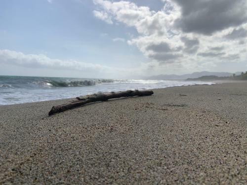 Tayrona Juancho's House Hostel & Coworking