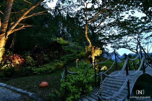 Home Boutique Natural Paradise