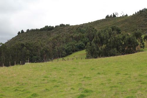 Vertmont Glamping