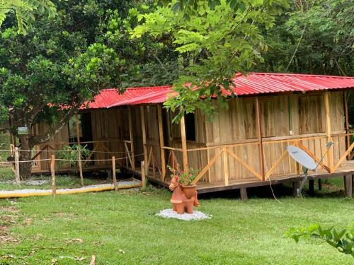 Eco-glamping Shalom