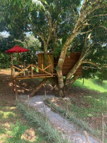 Eco-glamping Shalom