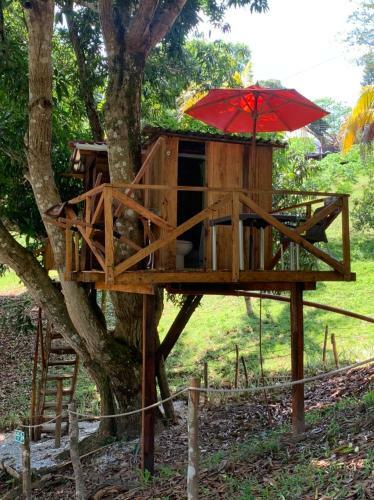 Eco-glamping Shalom