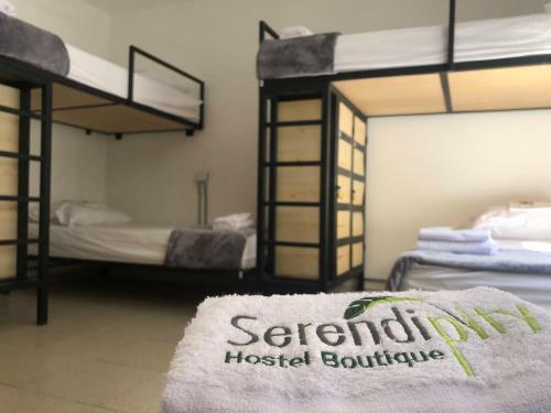 Serendipity Hostel Boutique