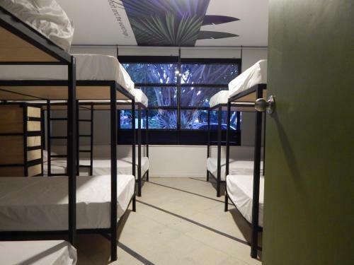 Serendipity Hostel Boutique