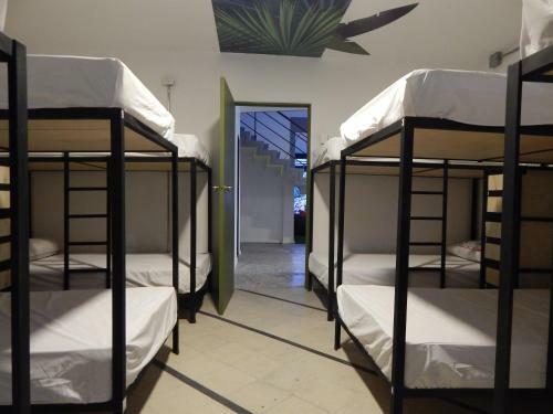 Serendipity Hostel Boutique