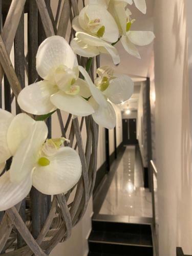 Hotel Moet