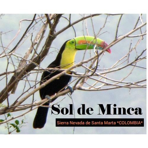 Agroturismo Sol de Minca Eco Lodge