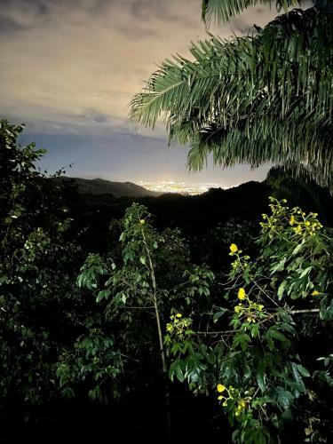 Agroturismo Sol de Minca Eco Lodge