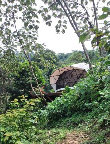 Hotel Trekker Glamping