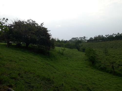 Hotel Alojamiento Rural Los Cerezos