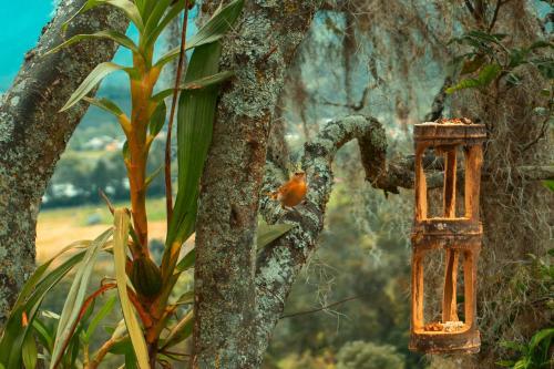 Hotel Guaia Terra Glamping