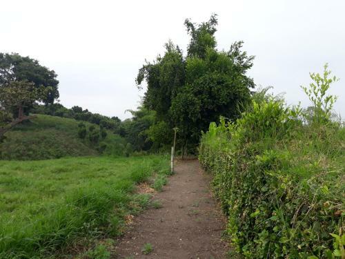 Hostal Rural Accommodation Los Cerezos