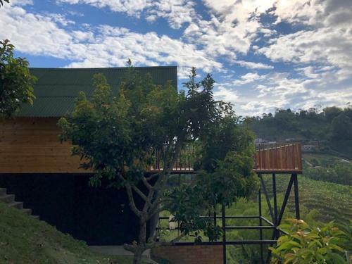 Apartamento Caba�a Cafetera El Piramo
