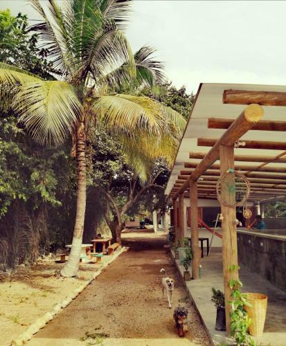Hostal Freesoul Hostel