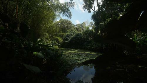 Lodge Finca La Argelia
