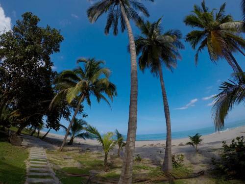Hostal Coco Beach Palomino Hostel