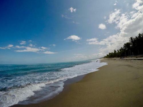 Hostal Coco Beach Palomino Hostel