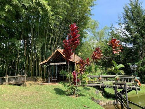 Rancheria Loft Chalet, Lago Privado