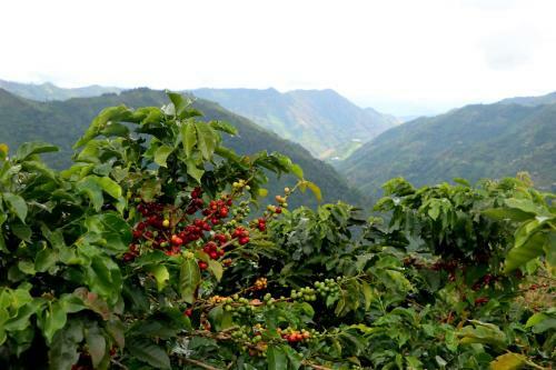 Lodge Finca La Manchuria