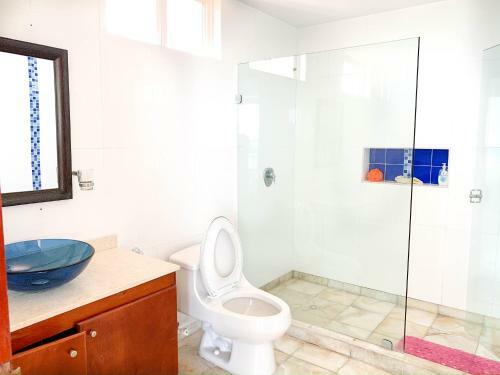 Apartamento Penthouse Barlovento