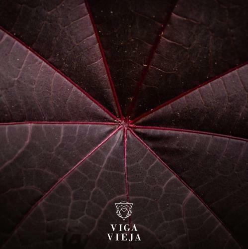 Lodge Viga Vieja Alojamiento