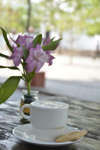 Basilica Hostal Y Cafe