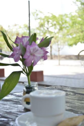 Basilica Hostal Y Cafe
