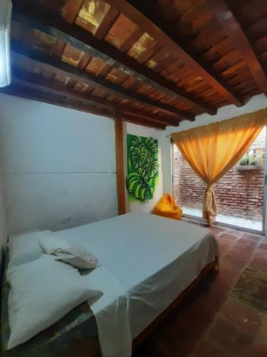 Hostal Feeling Hostel & Coworking