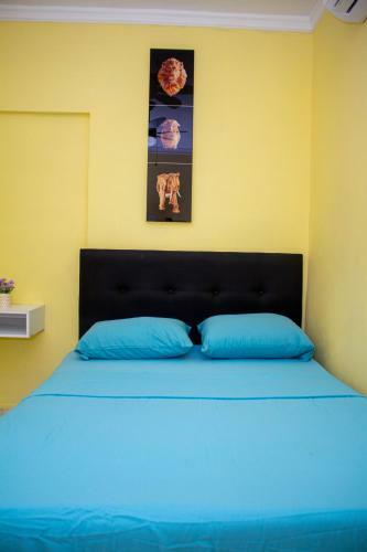 Bed & Breakfast Comfort House