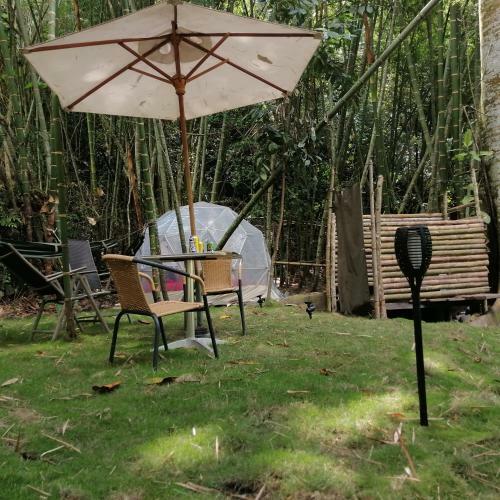 Las Cascadas De Andromeda Glamping