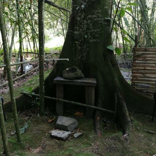 Las Cascadas De Andromeda Glamping