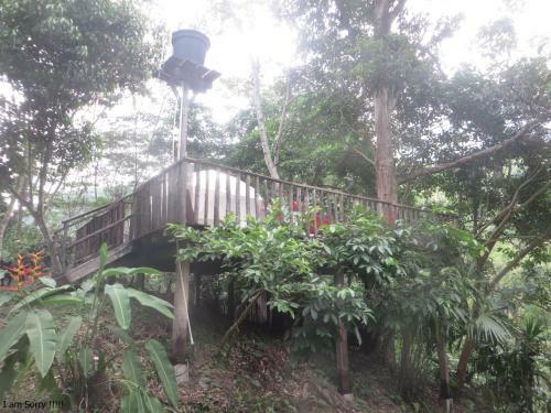 Las Cascadas De Andromeda Glamping