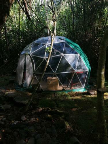 Las Cascadas De Andromeda Glamping