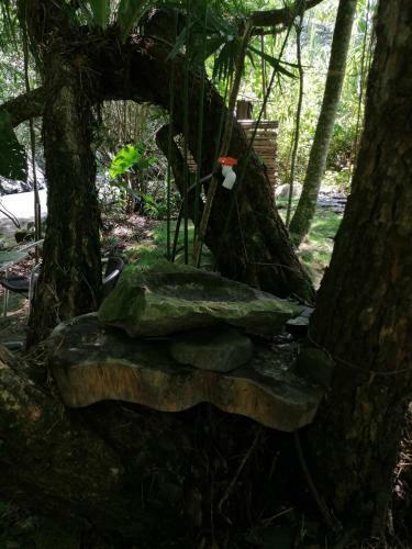 Las Cascadas De Andromeda Glamping