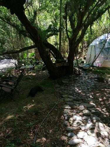 Las Cascadas De Andromeda Glamping
