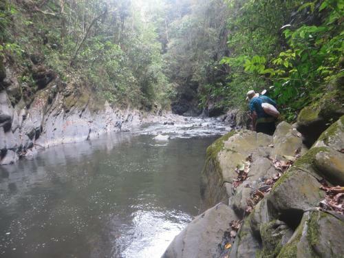 Las Cascadas De Andromeda Glamping