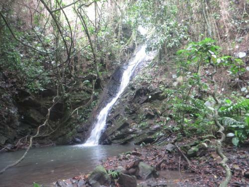 Las Cascadas De Andromeda Glamping