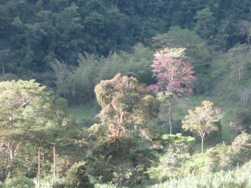 Las Cascadas De Andromeda Glamping