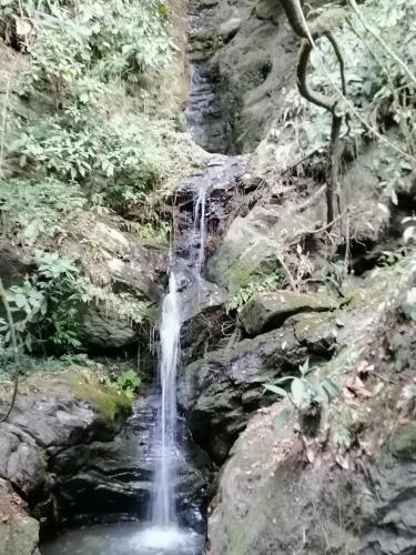 Las Cascadas De Andromeda Glamping