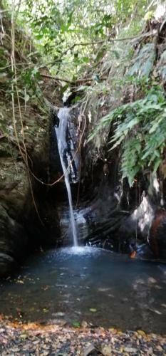Las Cascadas De Andromeda Glamping