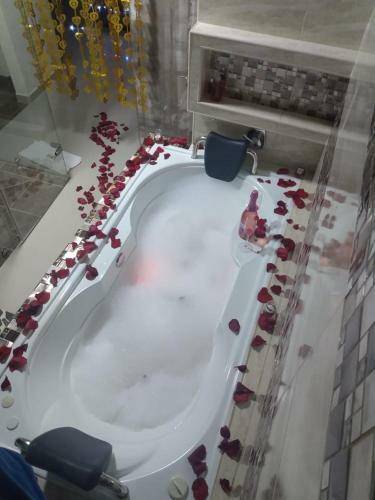 Apartahotel Lion