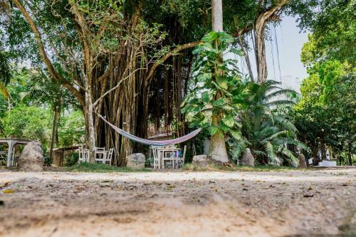 Hotel Selva Negra
