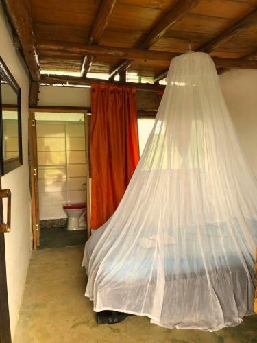 Hostal Moon Wind Tayrona Hostel