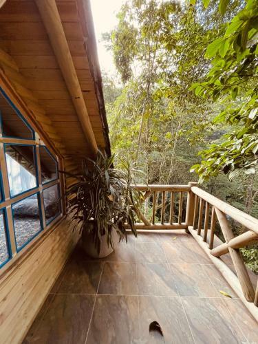 Bed & Breakfast La Nube Eco-hotel