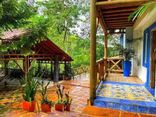 Bed & Breakfast La Nube Eco-hotel